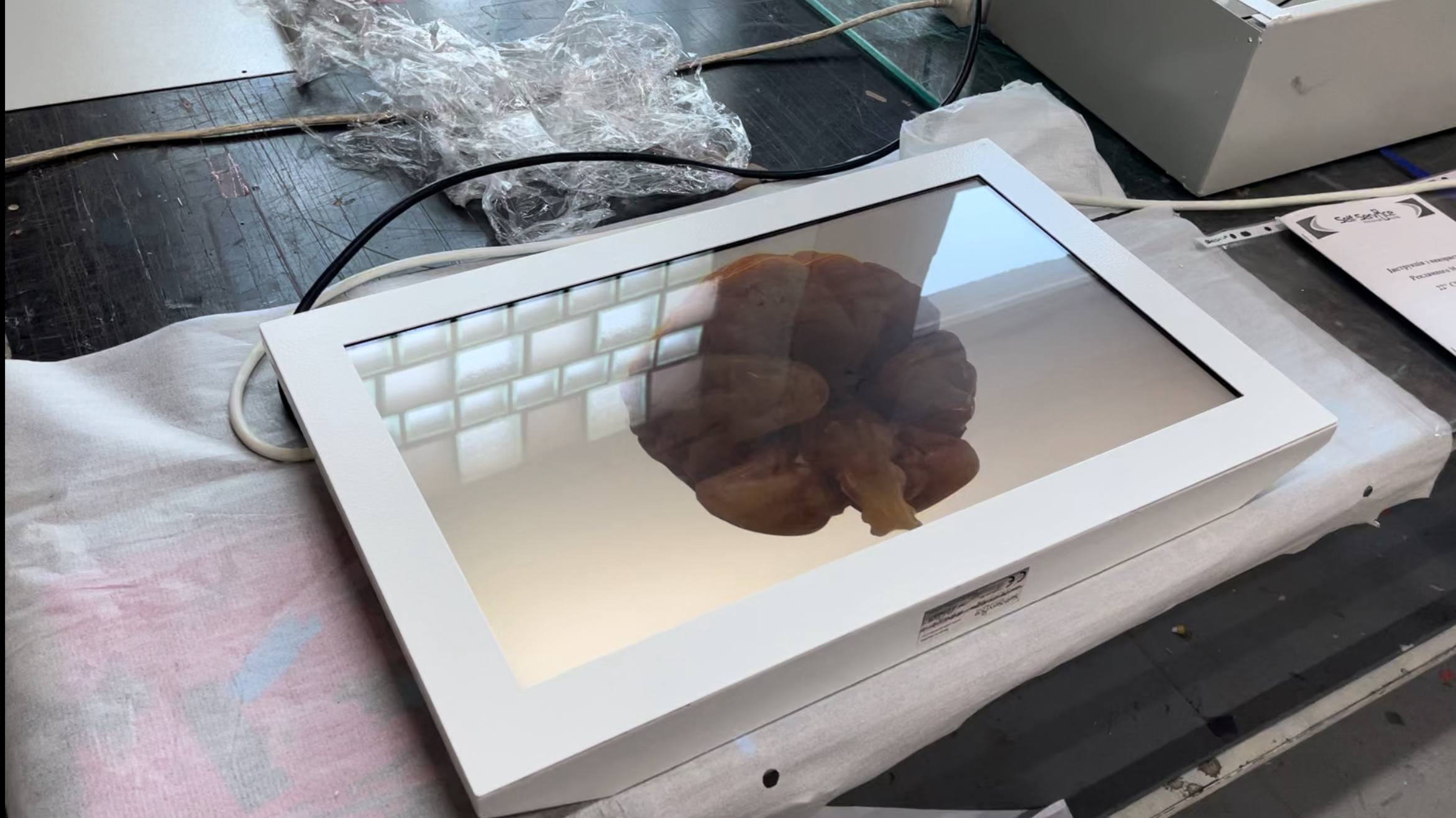 Контрактова